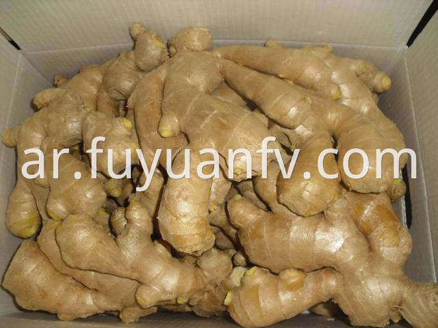 air dried ginger 